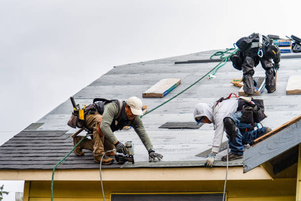 Professional Storm Damage Roof Repair technician working in Lakeview, NC